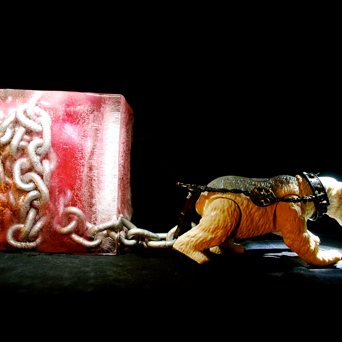 Forget In Mass cover