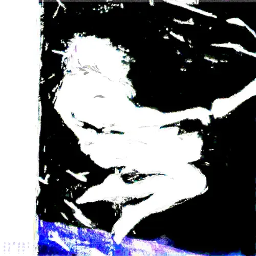 Seeking Darkness cover