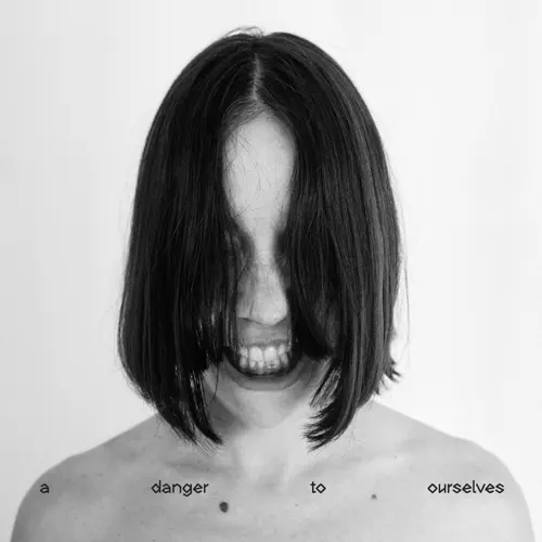 A Danger to Ourselves cover