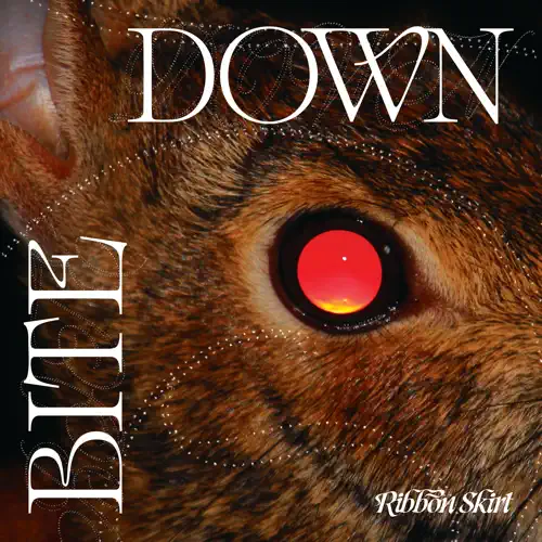 Bite Down cover