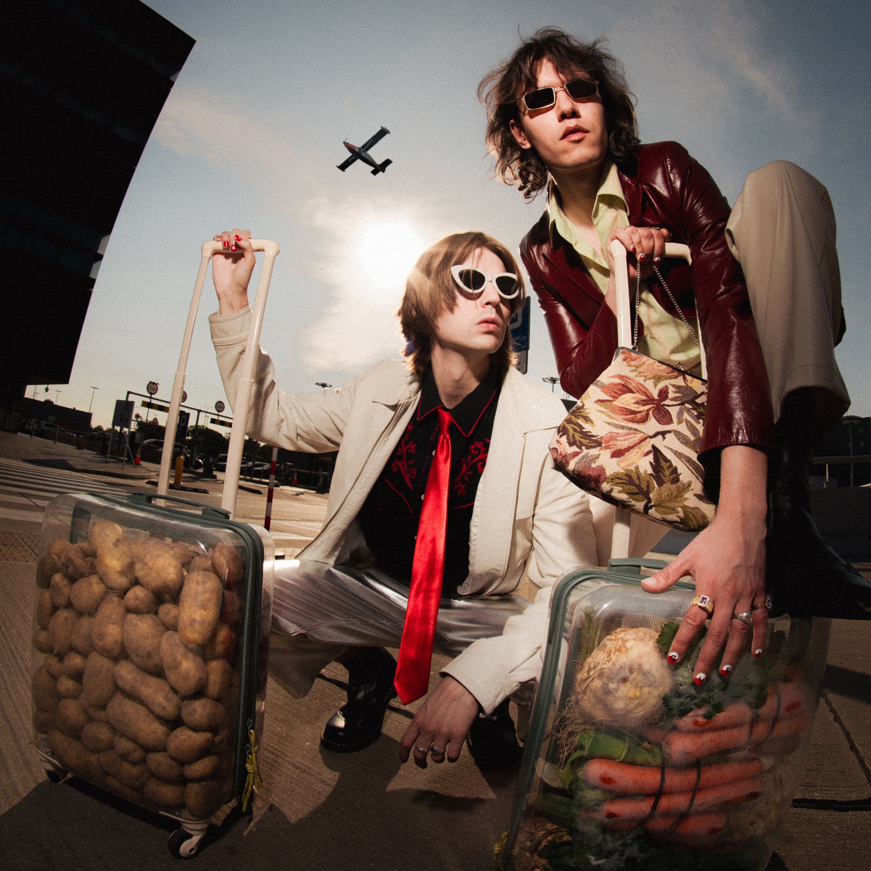 Vegetables Worldwide cover